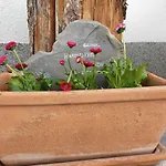 Rossberg Apartamento *